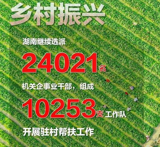 湖南选派2.4万名优秀干部接续奋战乡村振兴